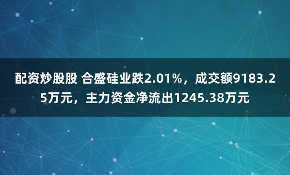 配资炒股股 合盛硅业跌2.01%，成交额9183.25万元，主力资金净流出1245.38万元