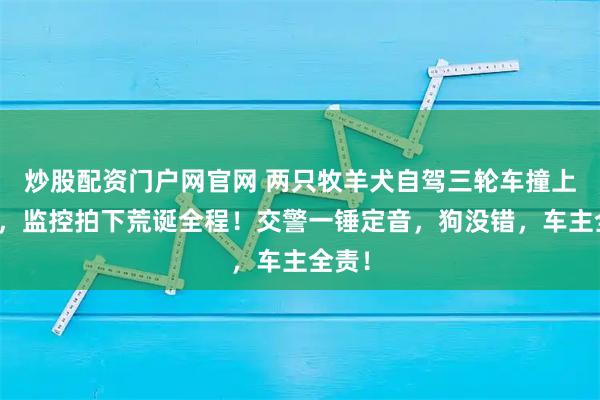 炒股配资门户网官网 两只牧羊犬自驾三轮车撞上轿车，监控拍下荒诞全程！交警一锤定音，狗没错，车主全责！
